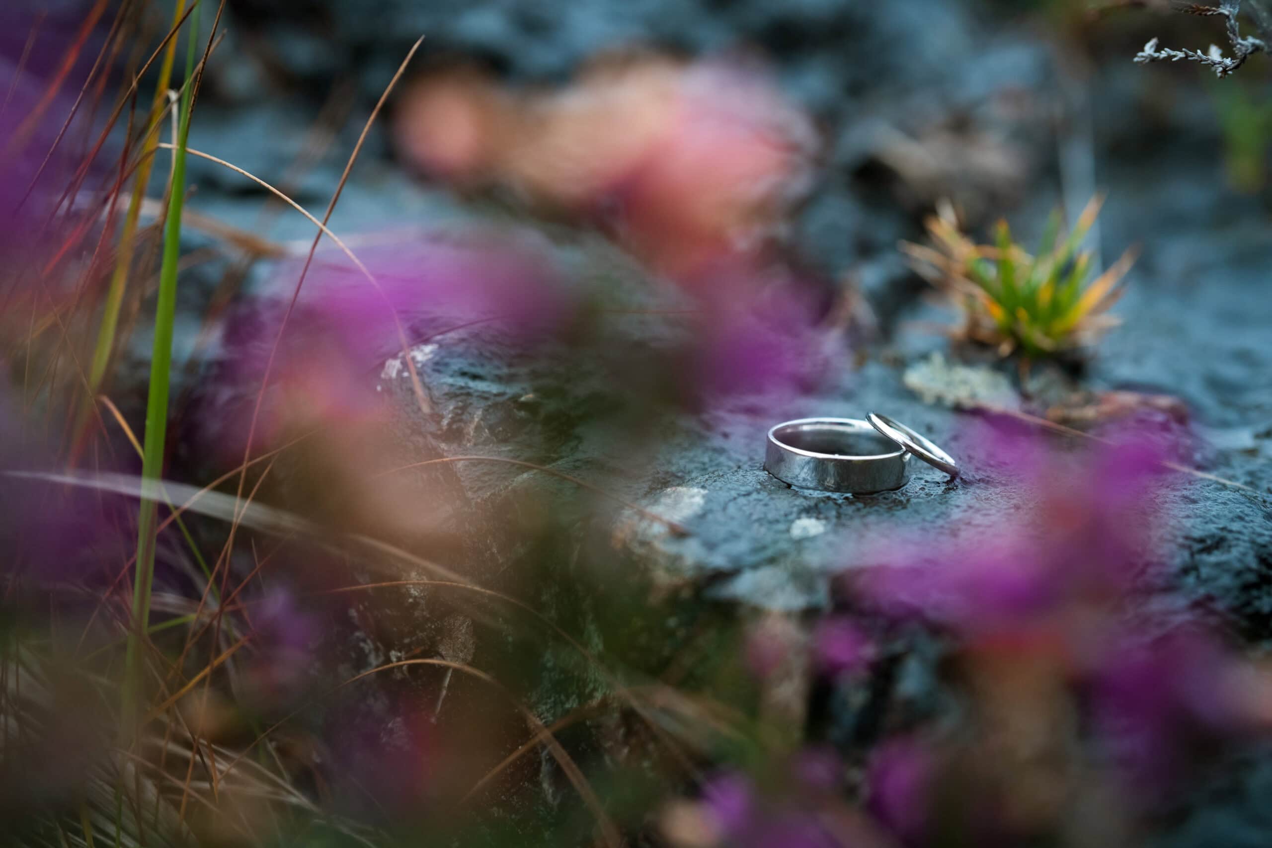 Beth and TJ's Glencoe elopement